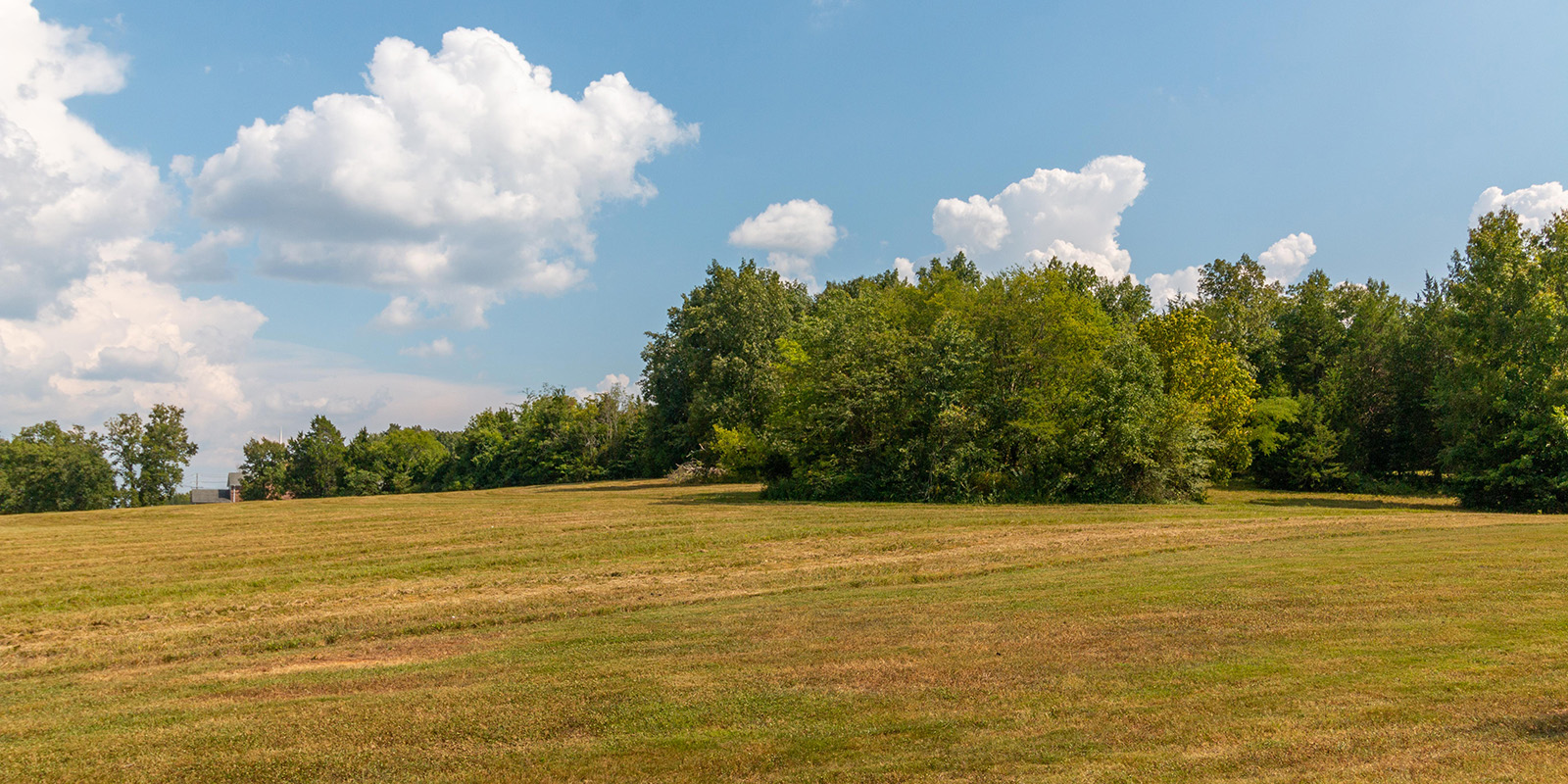 Rutherford County TN Land