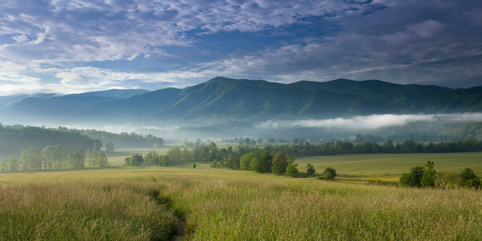 Rutherford County TN Land